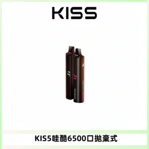 KIS5WAGOO哇酷6500口拋棄式 | 自由混搭雙口味 | 雙芯組合