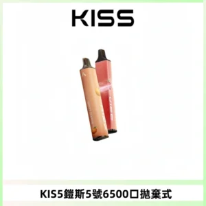 KIS5鎧斯5號一次性6500口磁吸式拋棄式電子煙#自由混搭#